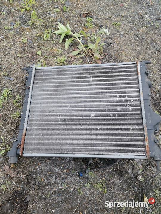 Chłodnica reno Thalia