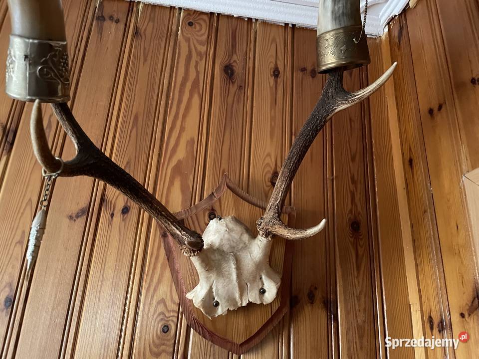 Małe Poroże zachodniopomorskie