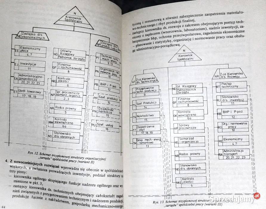 Zasady tworzenia wewnętrznej organizacji Chełm