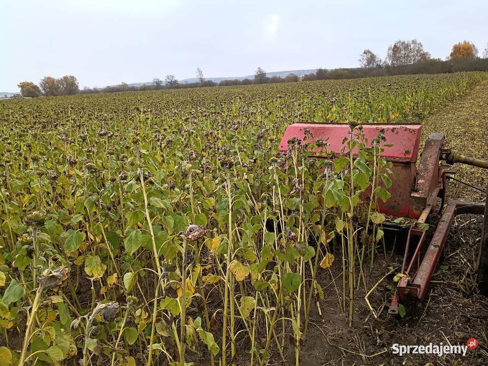 Mulczer orkan do ściernisk i poplonów mało Kuhn