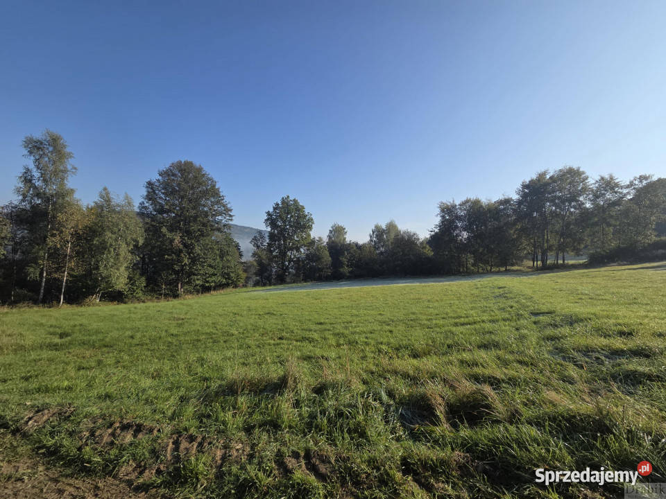 Grunt sprzedam Stryszawa Stryszawa 908m2