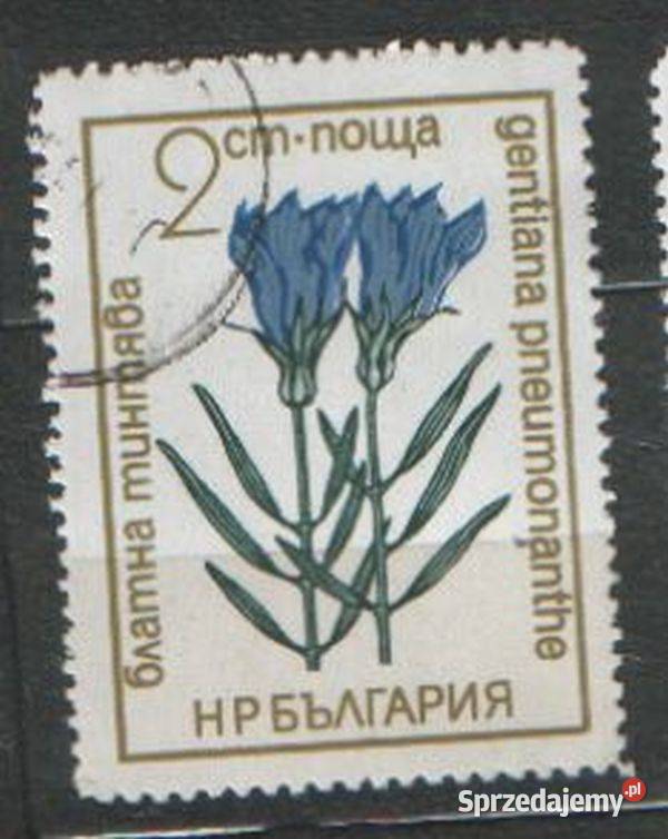 Zn Bułgaria Mi 2151 61 3 7 72 3 9 80 98 kas 1972 śląskie