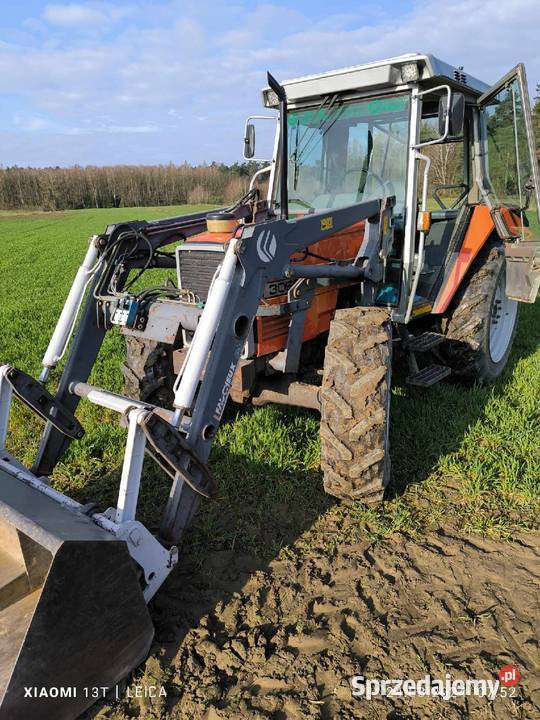 Massey Ferguson 3050 Massey Ferguson Wielgomłyny