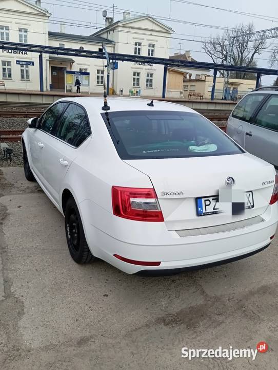Skoda Octavia benzyna