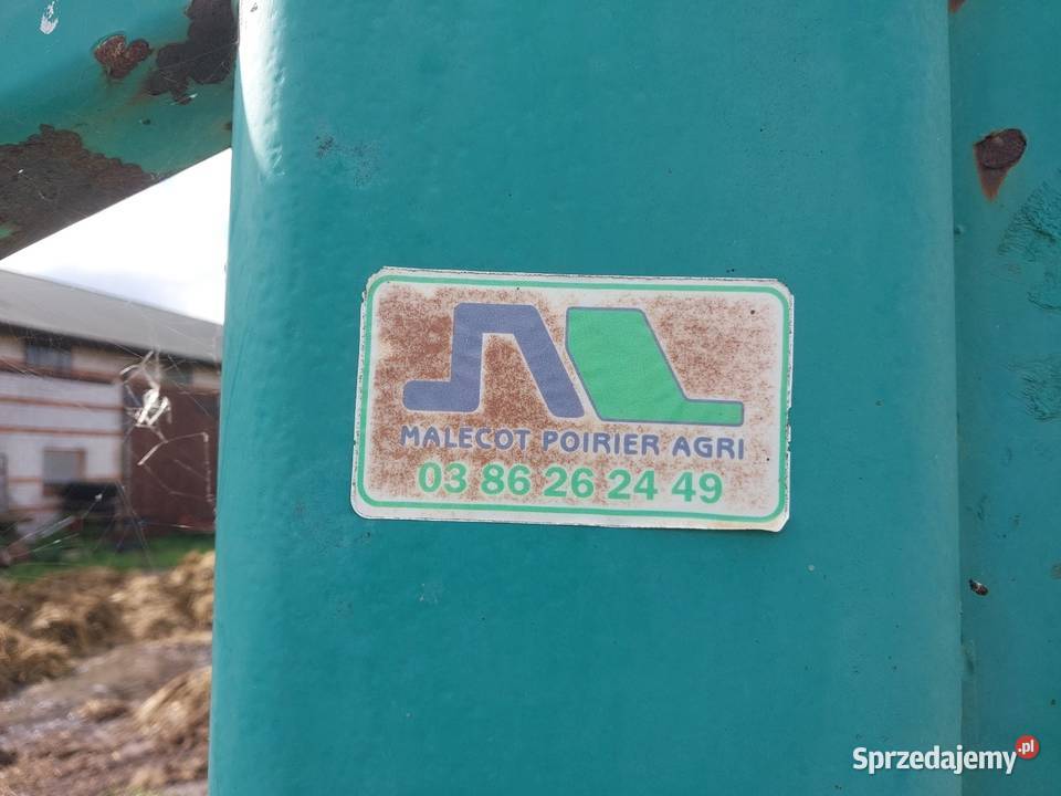 Głębosz 5 łapowy masywny Piotrków Trybunalski sprzedam