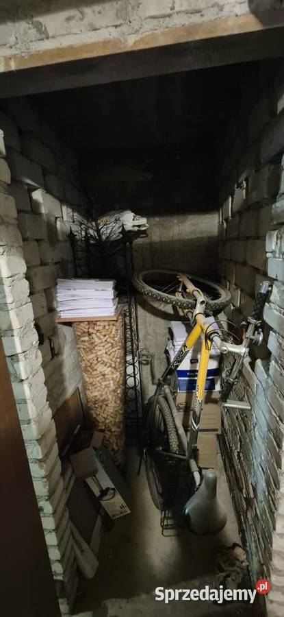 Syndyk Sprzeda lokal w Warszawie Madalińskiego Liczba pokoi 1 mazowieckie Warszawa