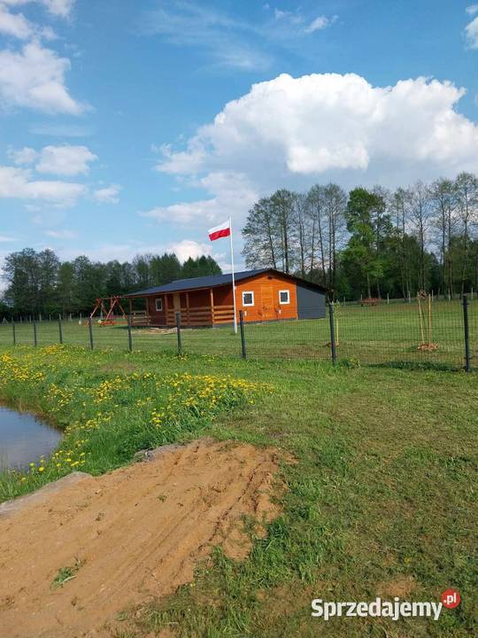 Sprzedam działkę rekreacyjną 60A domek Sprzedaż Siedlce