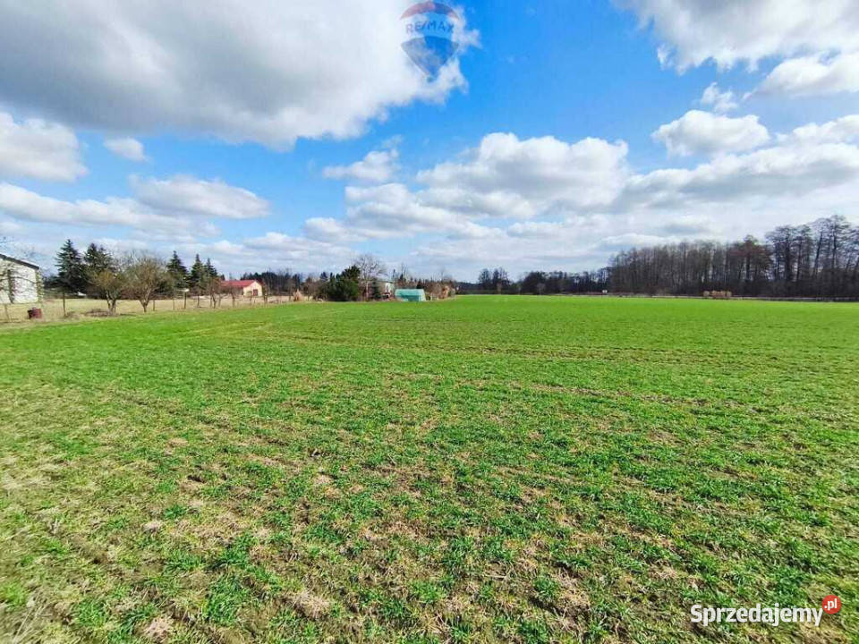 Działka budowlana w pobliżu Płocka budowlana Grunty i działki Miszewko Strzałkowskie sprzedam