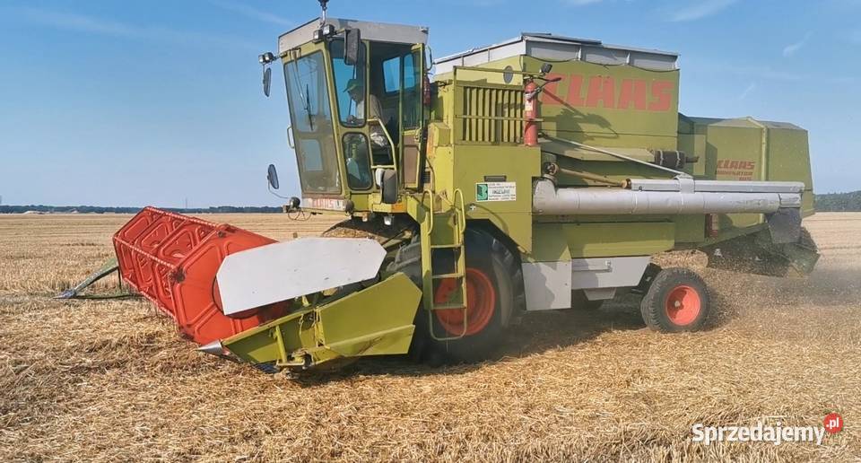Kombajn zbożowy Claas Dominator 105 Bielany Wrocławskie