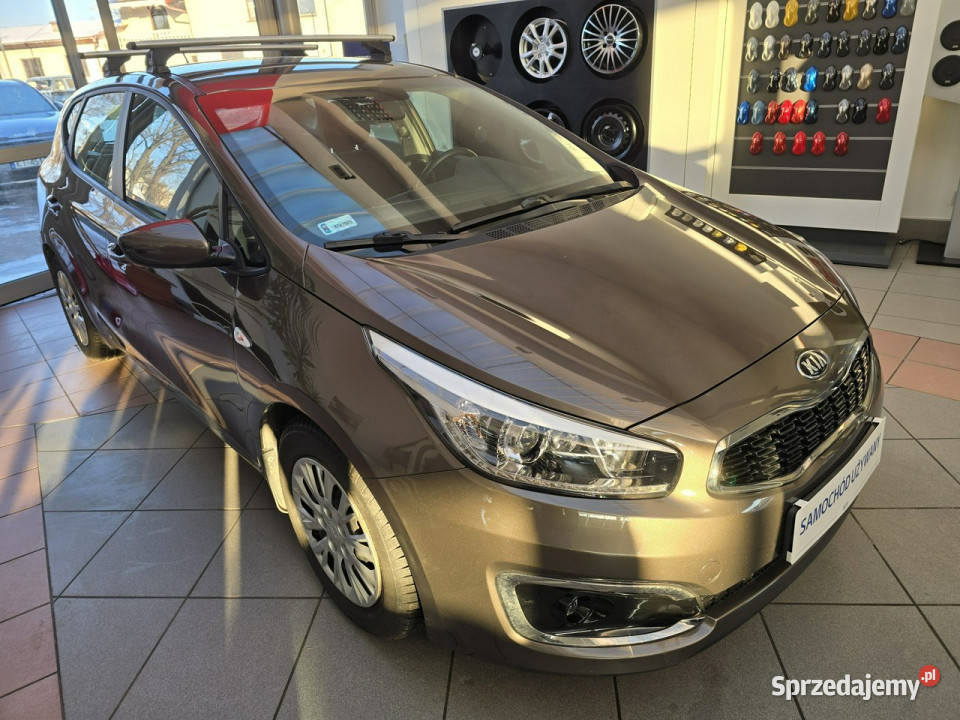 Kia Ceed Krajowy Benzyna Pierwszy właściciel Tarnów