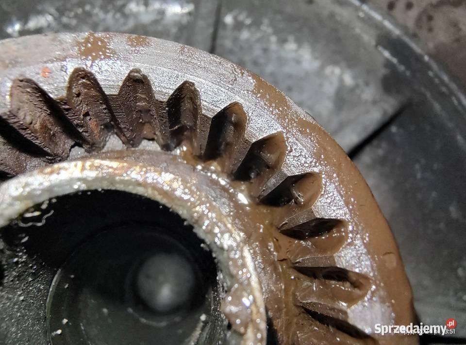 Koło R19 Ural Tourist M67 Średnica 19" wielkopolskie Leszno