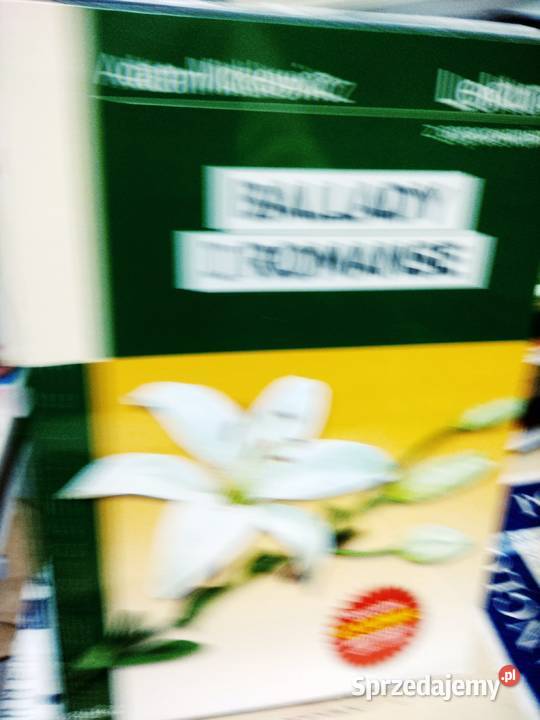 Ballady i romanse Mickiewicz lektury szkolne Warszawa