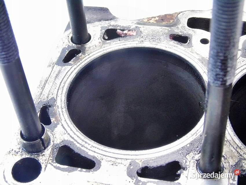 BLOK AYZ 12 TDI AUDI A2 LUPO 3L 045103021H Sosnowiec sprzedam