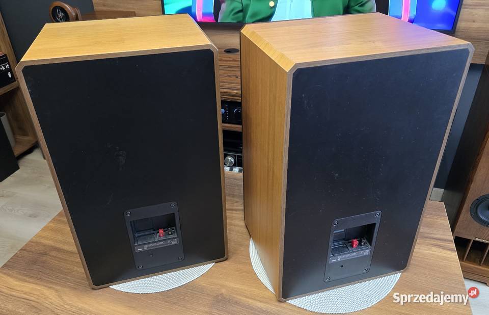 Kolumny Vintage Braun LS 120 Stan Jastrzębie-Zdrój