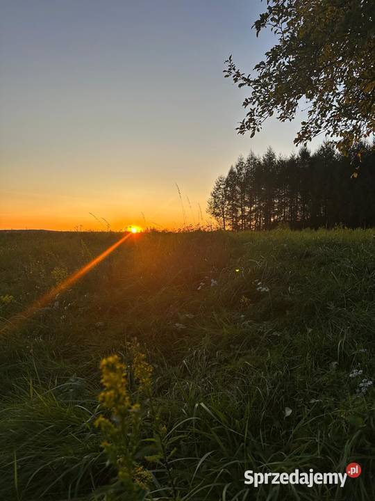 Sprzedam malowniczą działkę w spokojnej okolicy podkarpackie Wola Krzywiecka