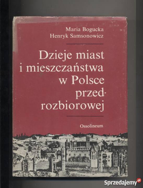 Dzieje miast i mieszczaństwa w Polsce historia, archeologia Szczecin sprzedam