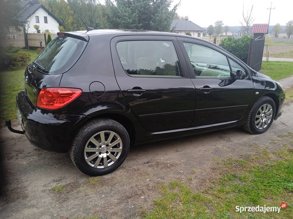 Peugeot 307 16 Benzyna160przebieg Super stan Łagów