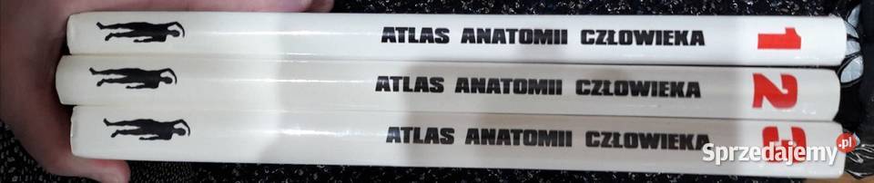 Atlas Anatomii człowieka tomy 1 2 3 Poznań