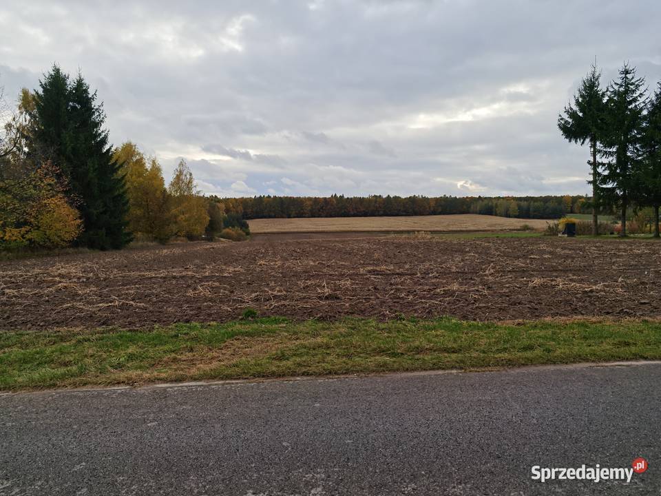 Sprzedam działkę Osmolice Drugie 23ar