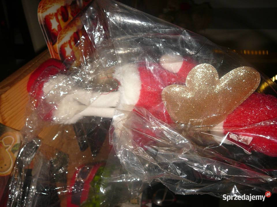 Aniołek Nowy 35 Belgia Wrocław