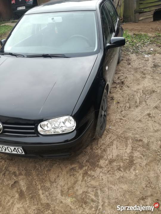 Golf 4 Rok produkcji 2002 warmińsko-mazurskie Prostki sprzedam