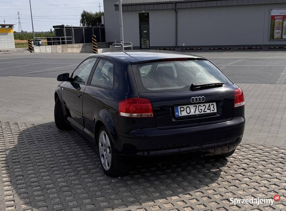 Audi A3 8P 16 benzyna 2005 Dopiewiec