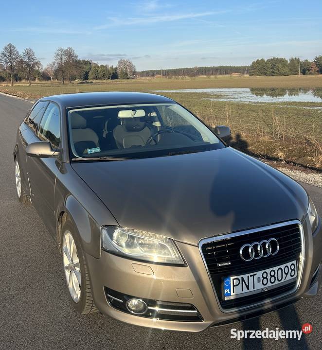 Audi A3 8p Quattro 18 TFSI 160 160KM Dąbrówka Wielkopolska
