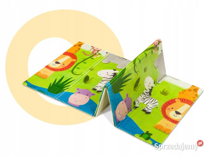 DUŻA MATA EDUKACYJNA DWUSTRONNA LIONELO ROBBY