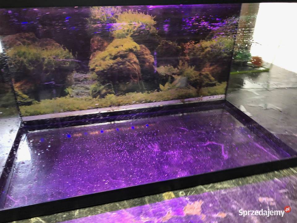 Akwarium 60x30x35 63 L pokrywa Justynów