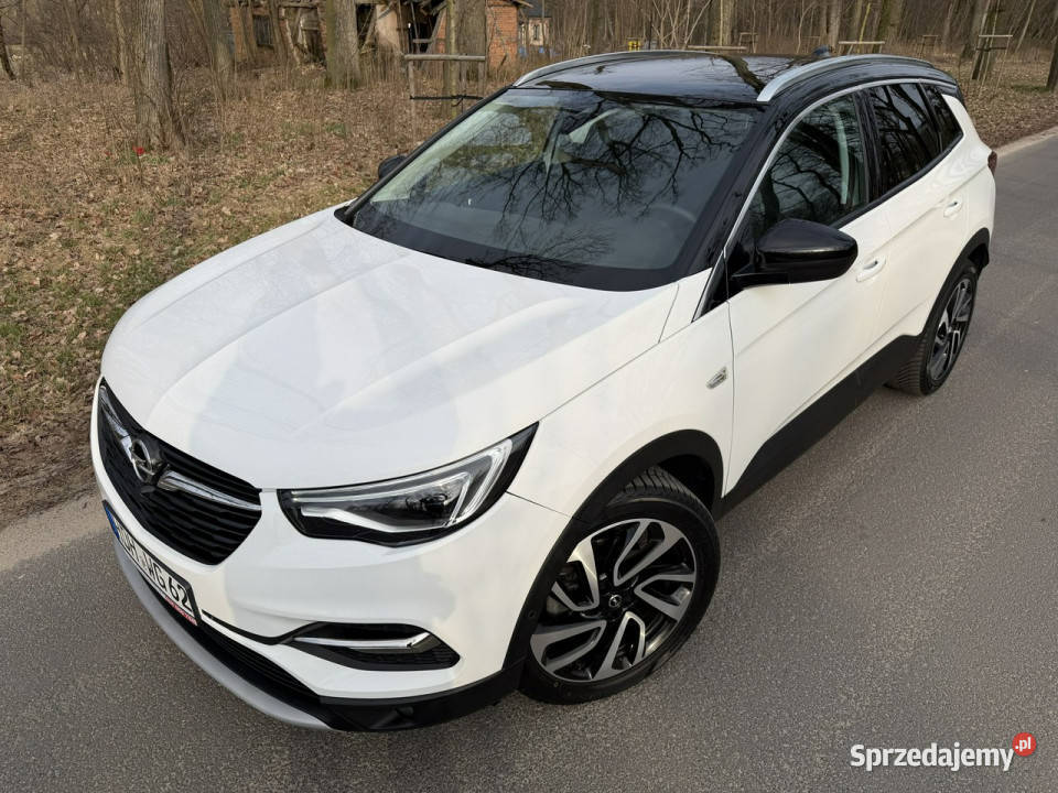 Opel Grandland X 20 CDTI 177 Full Led Navi relingi dachowe Józefkowo