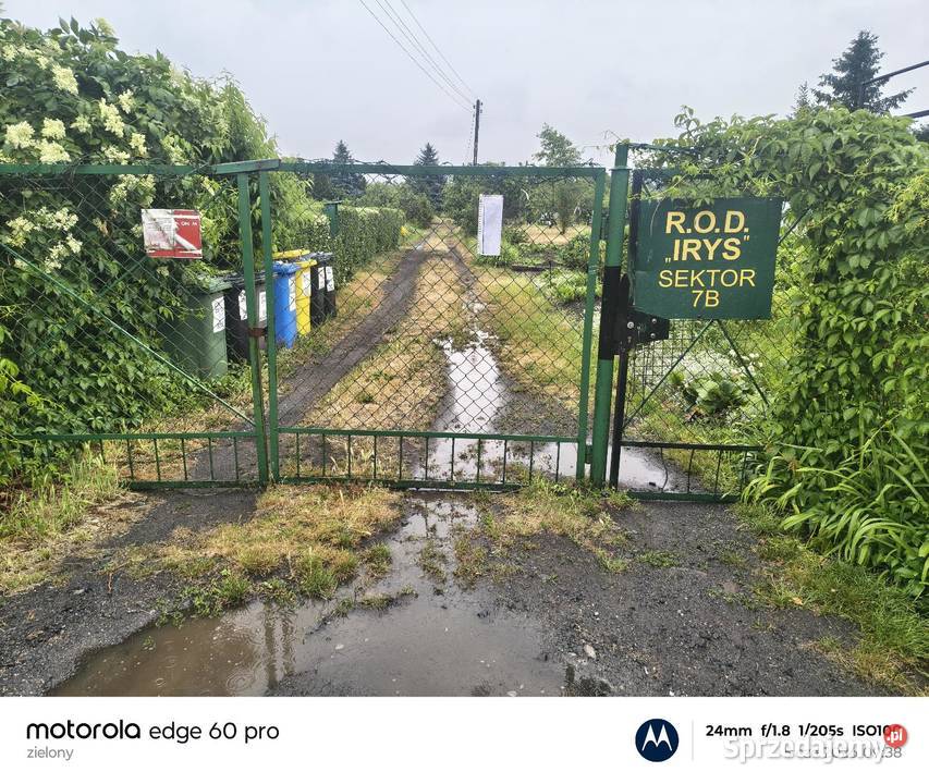 Działka ogrodowa ROD Nowa Sól 2800