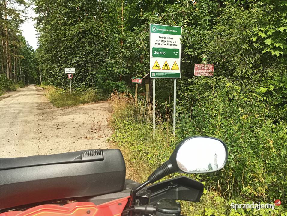 Kompleks 12 działek leśnych powierzchnia 369ha