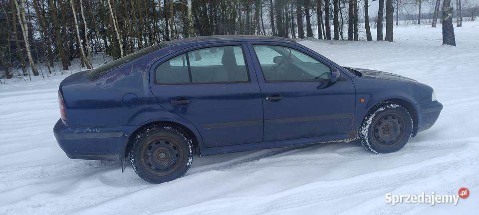 Skoda Octavia Ostrów Lubelski