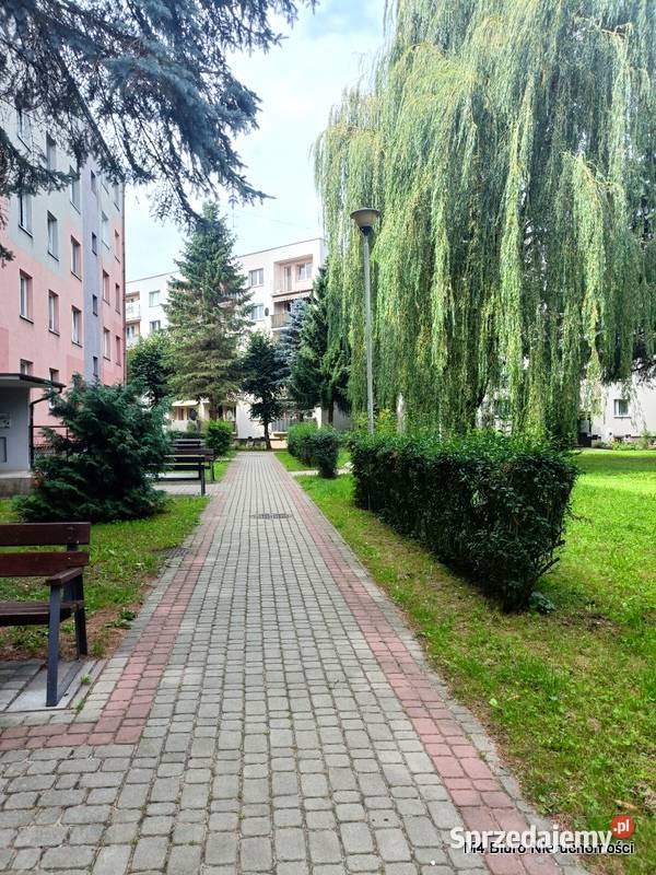 MIESZKANIE NA PARTERZE W KROŚNIE BATOREGO Krosno