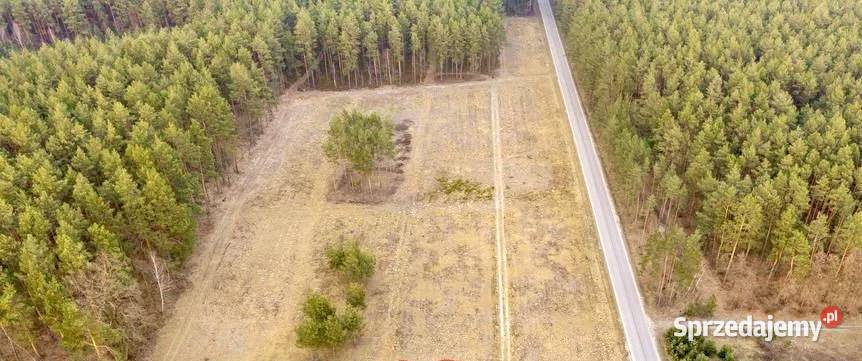 DZIAŁKA BUDOWLANA 1000 m ASFALT LAS SPOKOJNA