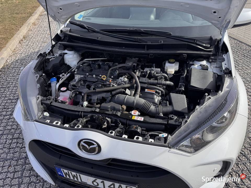 Toyota Yaris nieuszkodzony