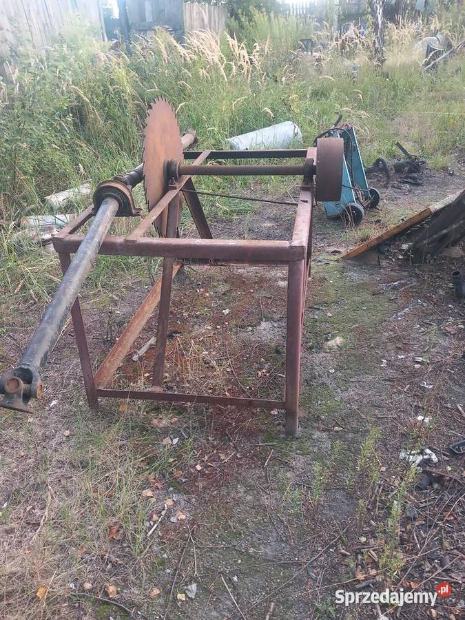 Traizega do drzewa lubelskie Zakrzówek