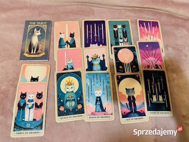 Karty The Meow Tarot Warszawa