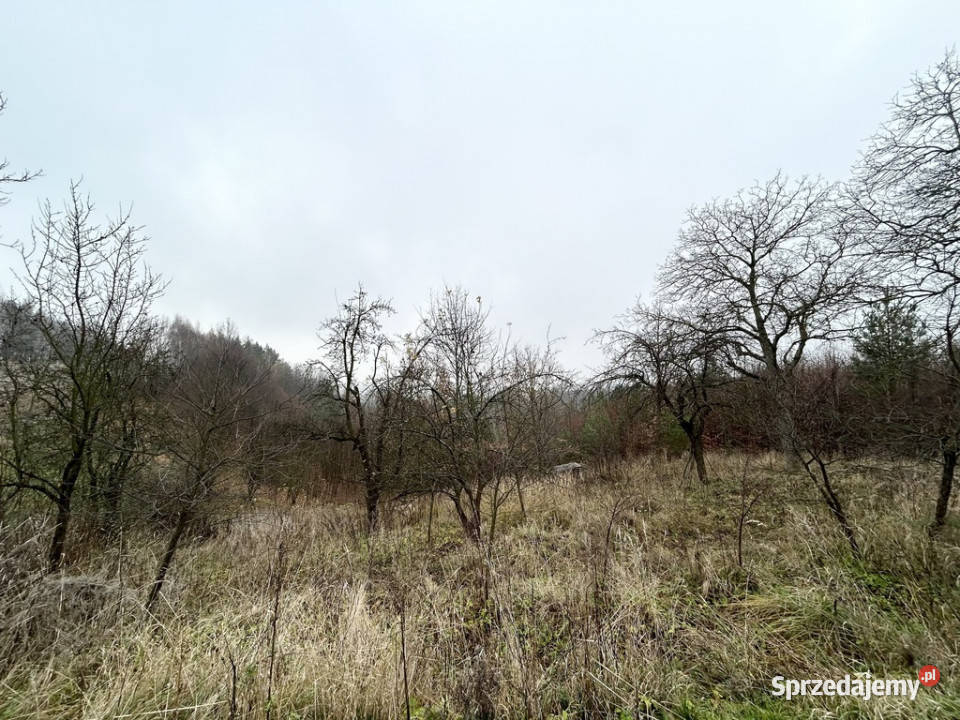Działki rolneTymin Tymin