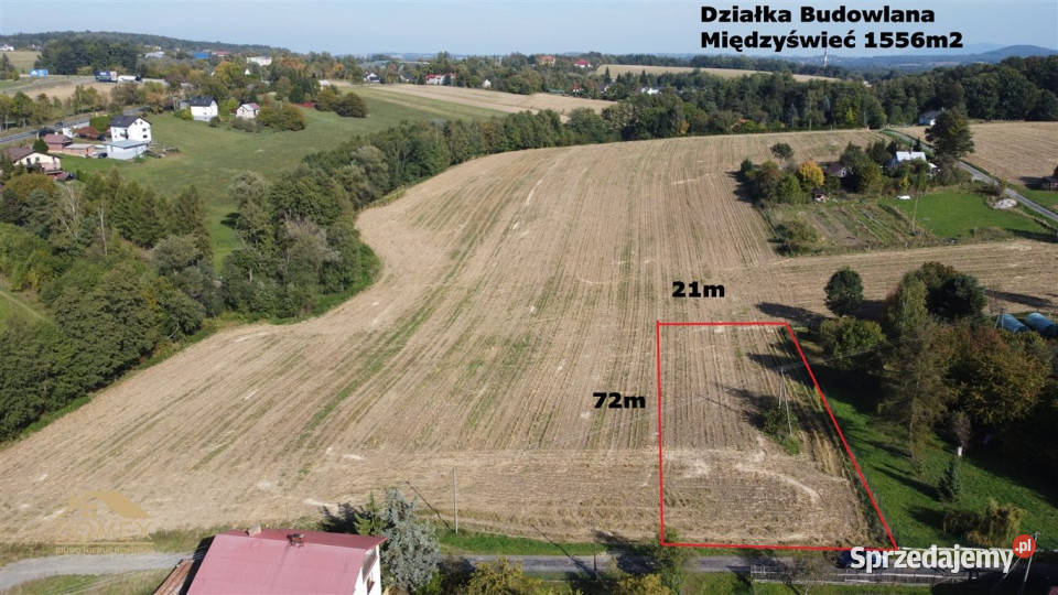 Grunt do sprzedania 1556m2 Międzyświeć Nieruchomości śląskie sprzedam