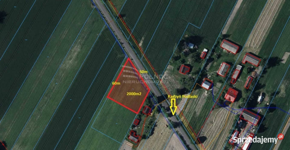 Działka 2000m z wz w Brzostówcu k Radzynia Podl Grunty i działki Brzostówiec