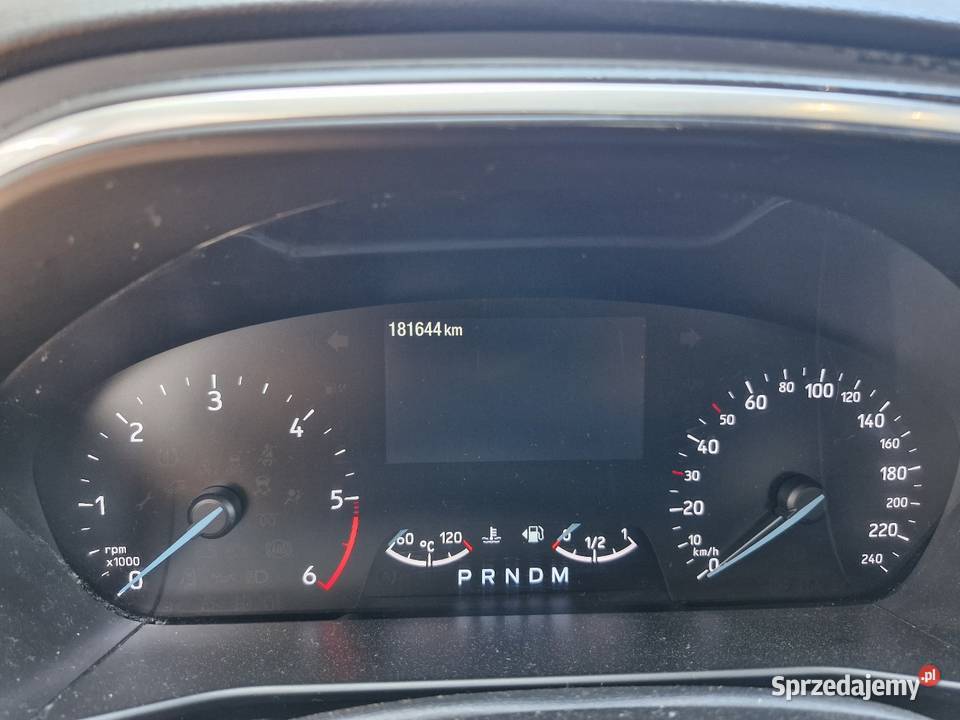 Ford Focus Złocieniec