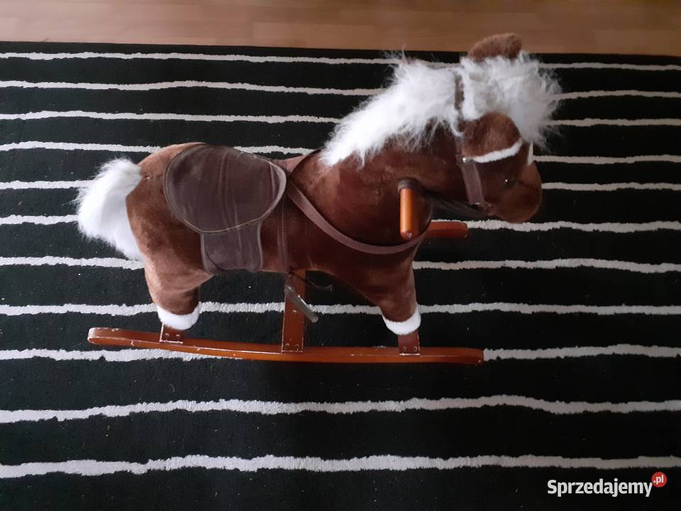 Konik na biegunach Kamienica Polska