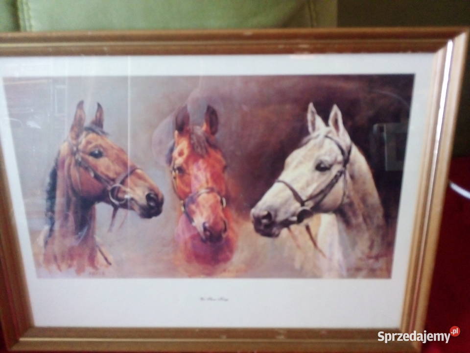 Obrazy różne Malarstwo Warszawa