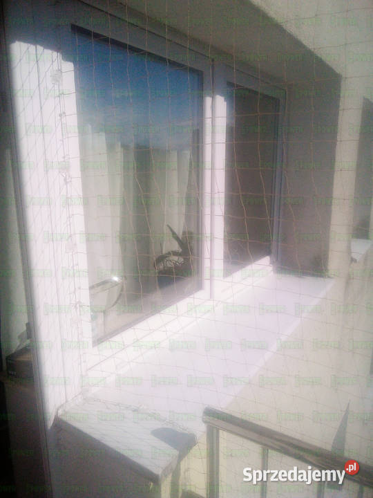 Siatka kota na balkon montaż BEZINWAZYJNY Warszawa