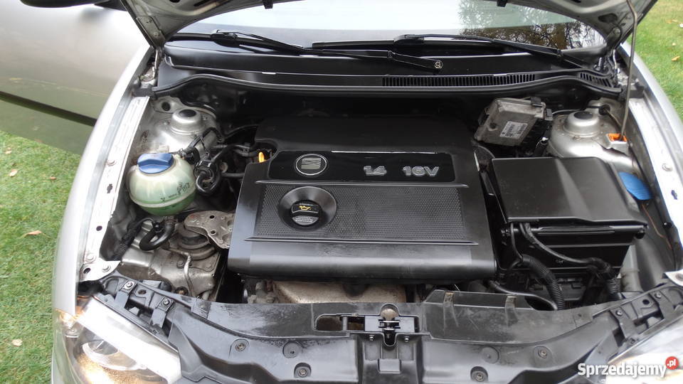 Seat Ibiza 14 2003 Łódź