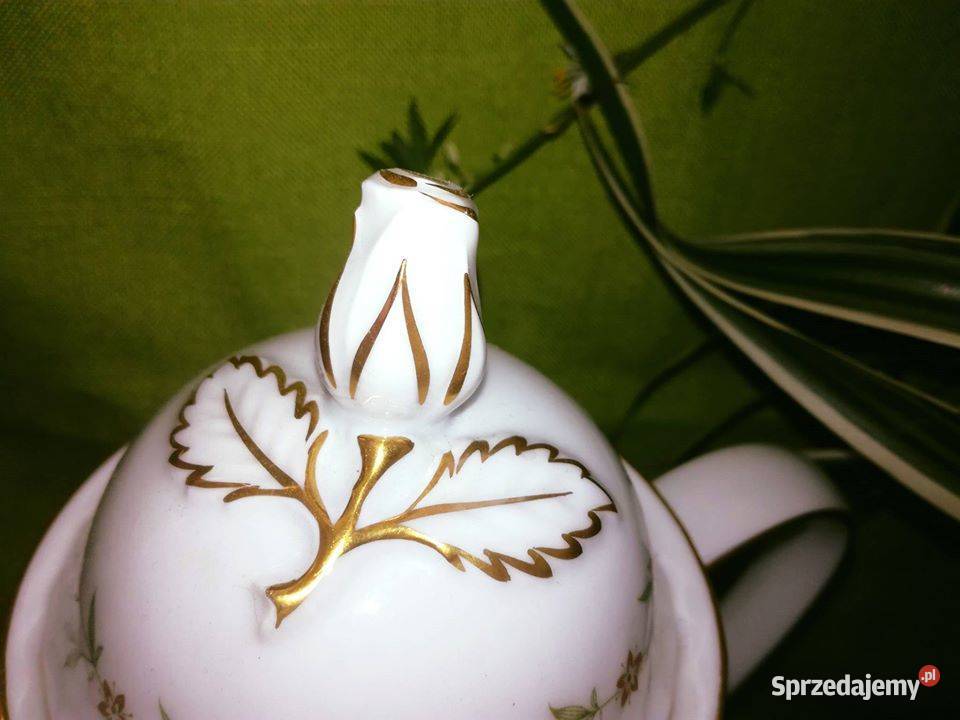 Komplecik Kaiser Gdynia