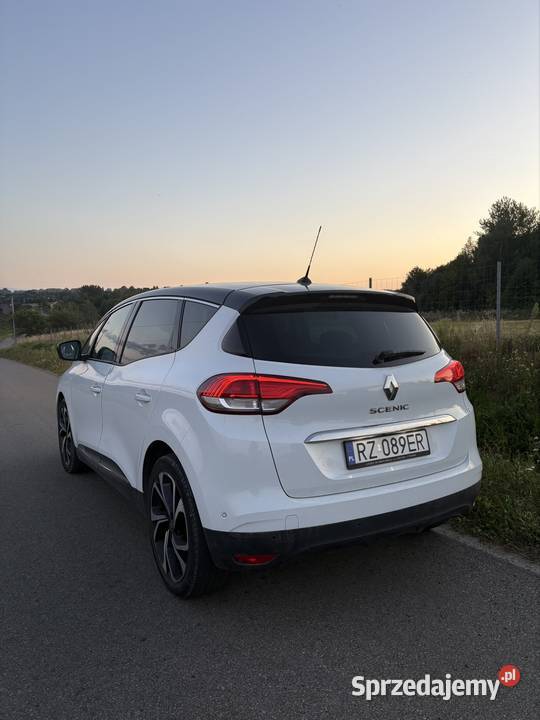 Renault Scenic IV Super Stan Rzeszów