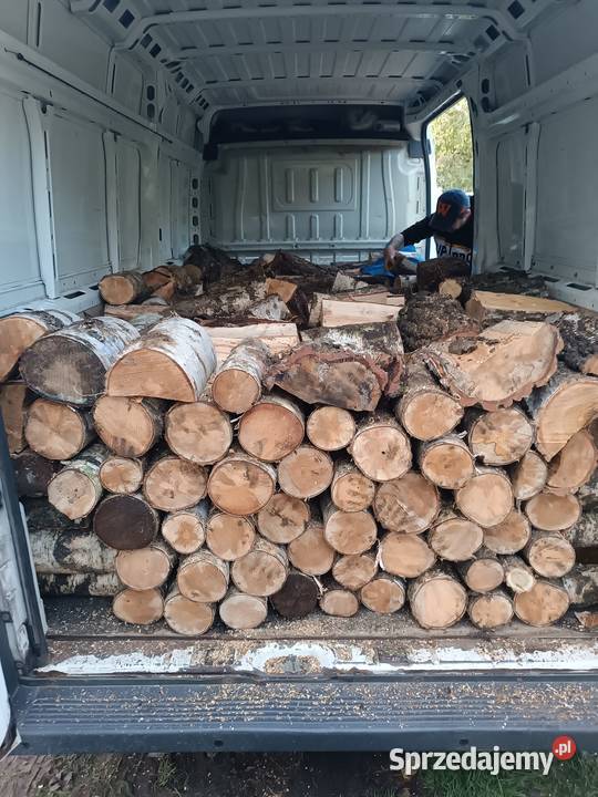 Sprzedam drewno sosnowe Suche 230 Bojadła