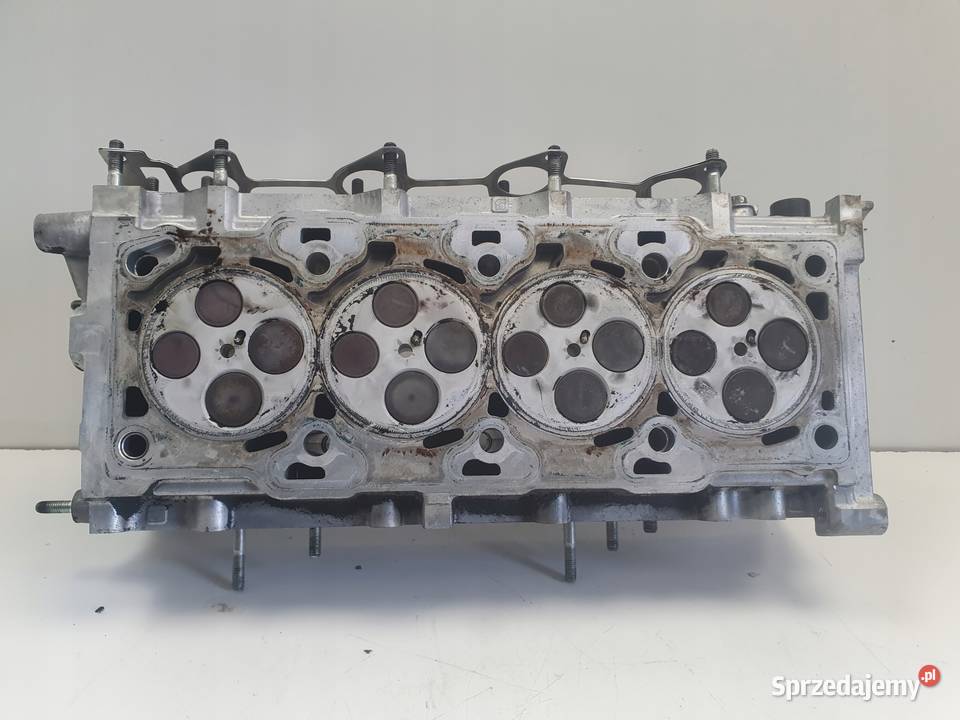 Opel Antara Captiva 20 VCDI GŁOWICA CYLINDRÓW Rudka